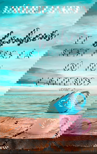 Le bonheur n'est pas là où tu l'attends Tome 2