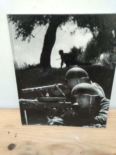 Le Raz de marée soviétique (La Deuxième guerre mondiale)