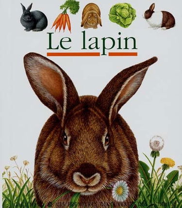 Le lapin