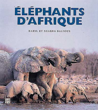 Eléphants d'Afrique