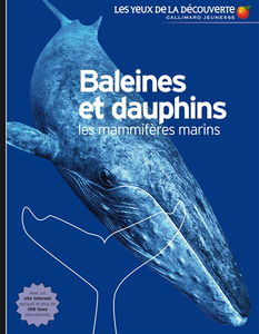 Baleines et dauphins : les mammifères marins
