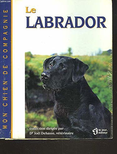 Le labrador