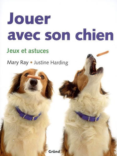 Jouer avec son chien : jeux et astuces