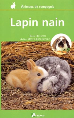 Lapin nain