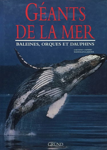 Géants de la mer : baleines, orques et dauphins