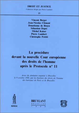 Procédure devant la nouvelle Cour européenne des droits de l'homme après le protocole n° 11 : actes du séminaire, Bruxelles le 9 oct. 1998