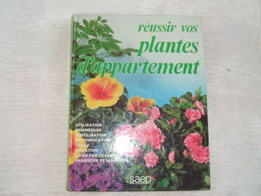 Réussir vos plantes d'appartement