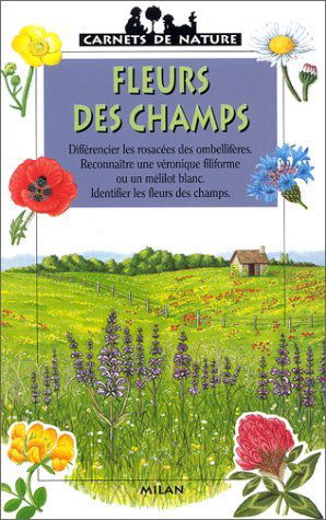 Fleurs des champs