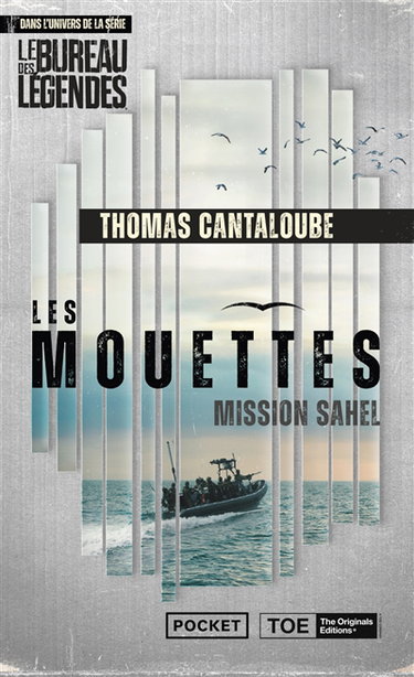 Les mouettes : mission Sahel : dans l'univers de la série Le bureau des légendes