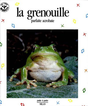 La Grenouille : parfaite acrobate