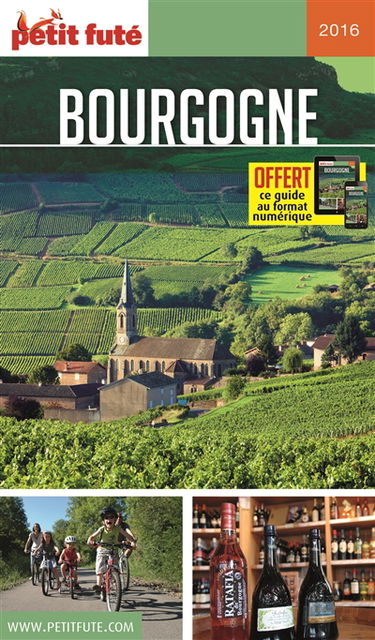 Bourgogne : 2016-2017