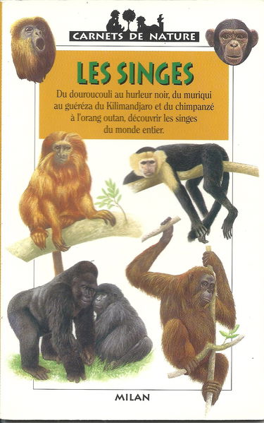 Les singes