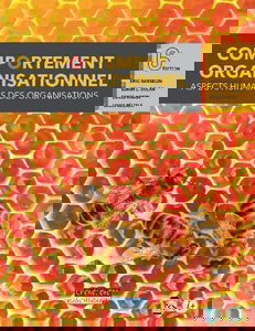 Comportement organisationnel : aspects humains des organisations