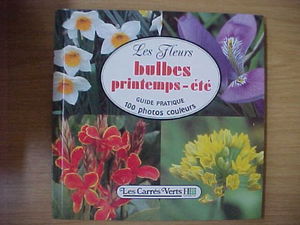 Les Fleurs : bulbes printemps-été