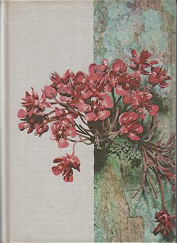 Couverture de Foret vierge