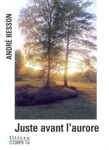 Juste avant l'aurore