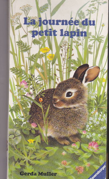 La Journée du petit lapin
