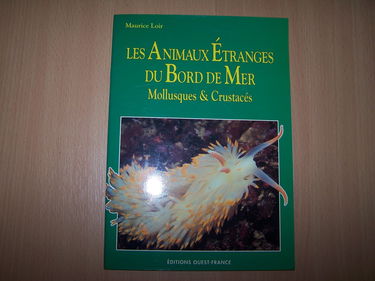 Animaux étranges du bord de mer