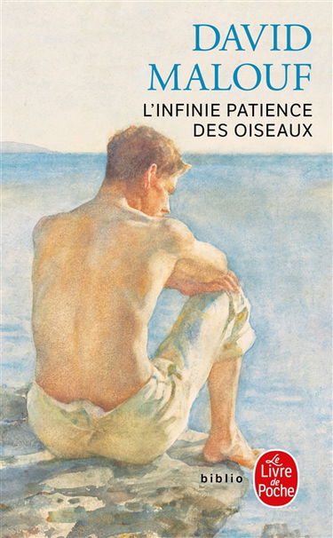 L'infinie patience des oiseaux