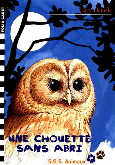 Une chouette sans abri