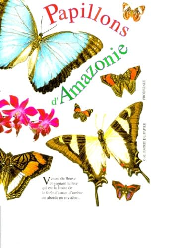 Papillons d'Amazonie