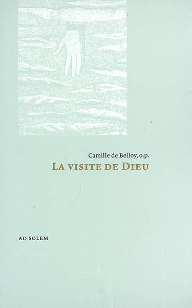 La visite de Dieu : essai sur les missions des personnes divines selon saint Thomas d'Aquin