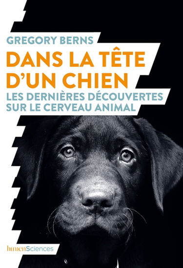Dans la tête d'un chien : les dernières découvertes sur le cerveau animal