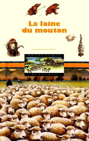 La laine du mouton