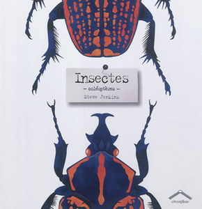 Insectes : coléoptères
