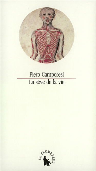 La Sève de la vie : symbolisme et magie du sang