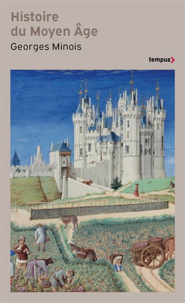 Histoire du Moyen Age : mille ans de splendeurs et misères