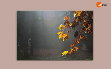 Prem.amis a la ferme