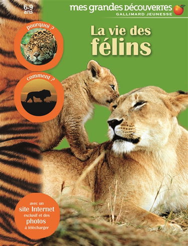 La vie des félins