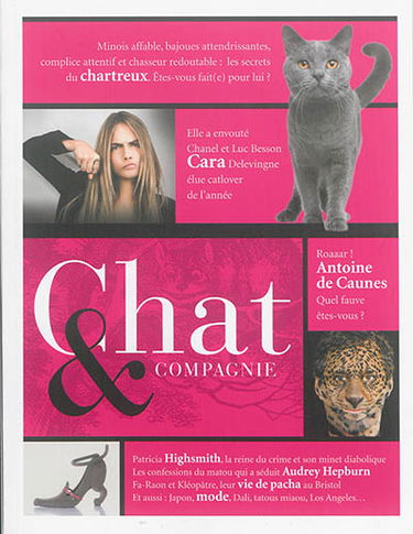 Chat & compagnie, n° 1