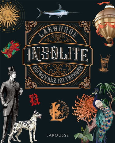Couverture de Le Larousse insolite : dictionnaire en images : découvrez 101 trésors
