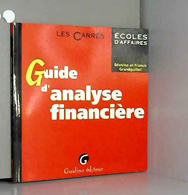 Guide D'Analyse Financiere