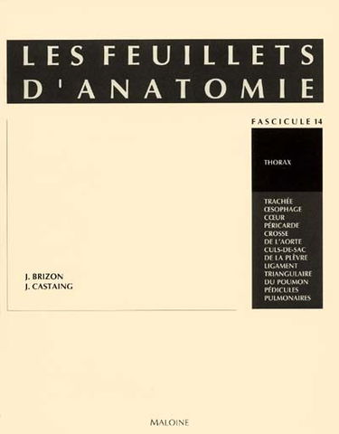 Les Feuillets d'anatomie : pour la préparation des concours hospitaliers et des examens de la Faculté de médecine. Vol. 14. Thorax