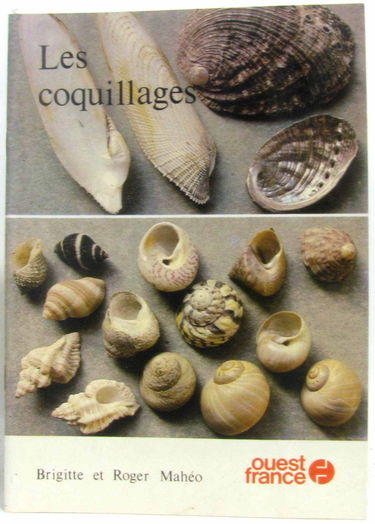 Les Coquillages