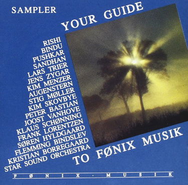 Your Guide to Fonix Musik [Import]