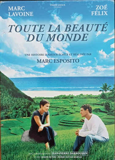 Couverture de Toute la beauté du monde