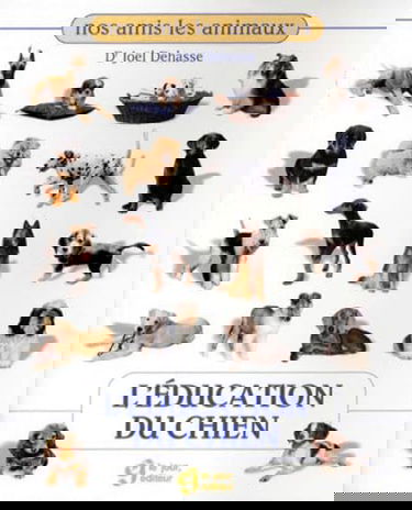 L'éducation du chien