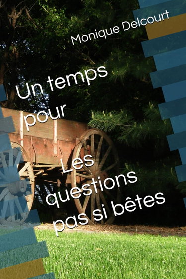 Couverture de Un temps pour Les questions pas si bêtes