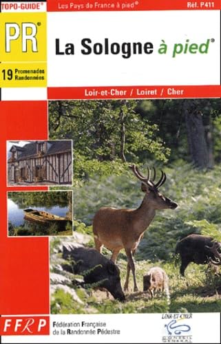 La Sologne à pied