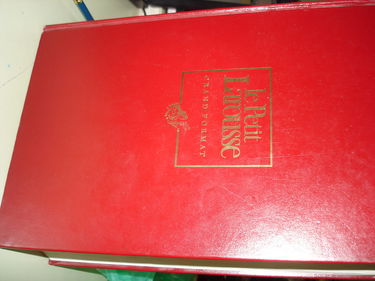 Petit Larousse en couleurs : 1993