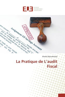 La Pratique de L'audit Fiscal