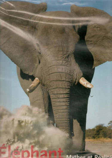 L'éléphant : mythes et réalités