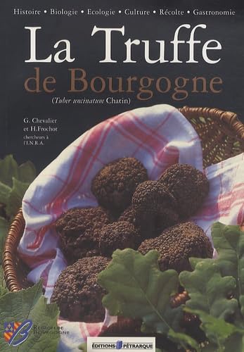 La Truffe de Bourgogne: (Tuber uncinatum Chatin)