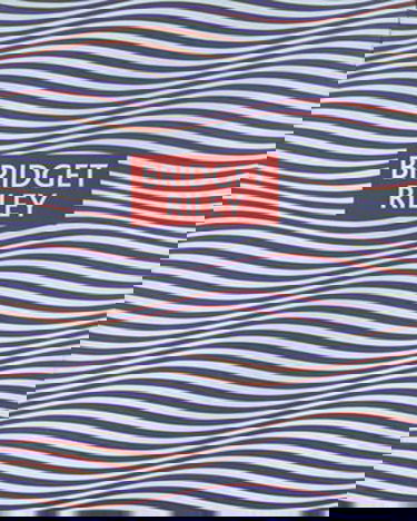 Bridget Riley: Paintings and Drawings, 1961-2004