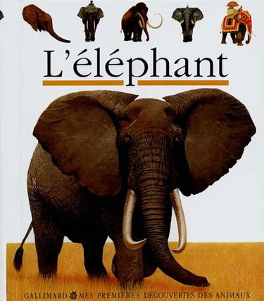 L'éléphant