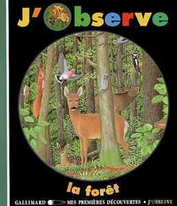 J'observe la forêt